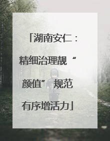 湖南安仁：精细治理靓“颜值” 规范有序增活力