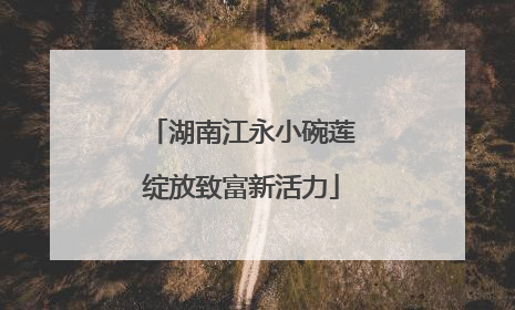湖南江永小碗莲绽放致富新活力