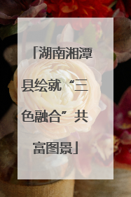 湖南湘潭县绘就“三色融合”共富图景