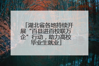 湖北省各地持续开展“百县进百校联万企”行动，助力高校毕业生就业