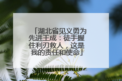 湖北省见义勇为先进王成：徒手握住利刃救人，这是我的责任和使命