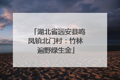 湖北省远安县鸣凤镇北门村：竹林遍野绿生金