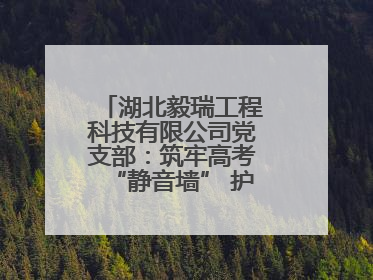 湖北毅瑞工程科技有限公司党支部：筑牢高考“静音墙” 护航学子逐梦路