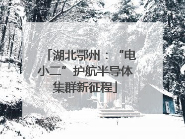 湖北鄂州：“电小二”护航半导体集群新征程