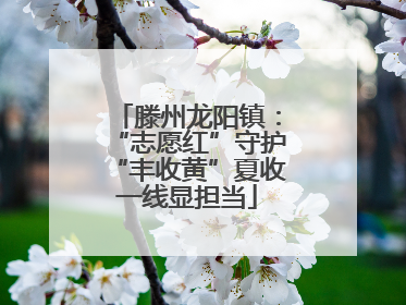 滕州龙阳镇：“志愿红”守护“丰收黄”夏收一线显担当