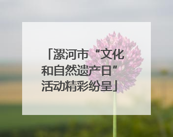 漯河市“文化和自然遗产日”活动精彩纷呈