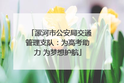 漯河市公安局交通管理支队：为高考助力 为梦想护航