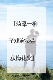 菏泽一柳子戏演员荣获梅花奖