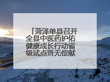 菏泽单县召开全县中医药护佑健康成长行动省级试点暨无偿献血工作会议