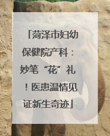 菏泽市妇幼保健院产科：妙笔“花”礼！医患温情见证新生奇迹
