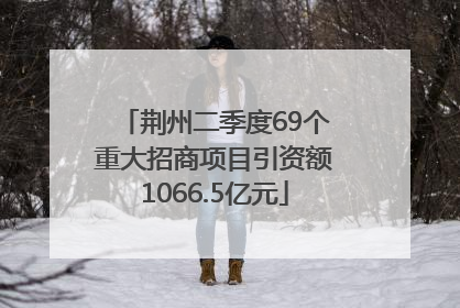 荆州二季度69个重大招商项目引资额1066.5亿元