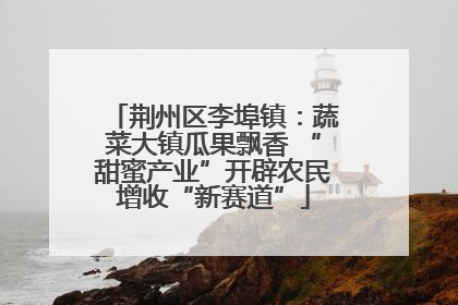 荆州区李埠镇：蔬菜大镇瓜果飘香 “甜蜜产业”开辟农民增收“新赛道”