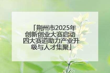 荆州市2025年创新创业大赛启动 四大赛道助力产业升级与人才集聚