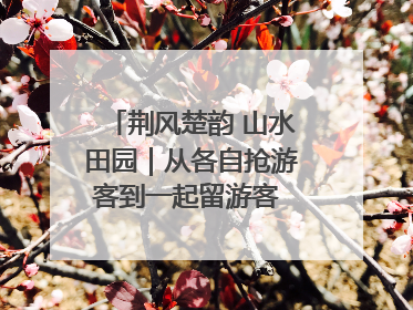 荆风楚韵 山水田园｜从各自抢游客到一起留游客 钟祥七村抱团解了“乡愁”添了“乡酬”