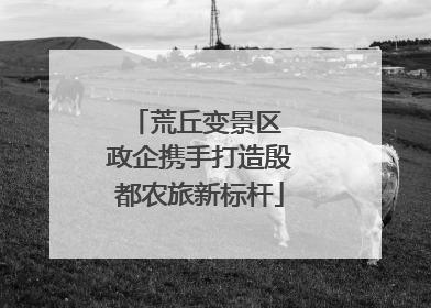 荒丘变景区 政企携手打造殷都农旅新标杆