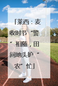 莱西：麦收时节“警”相随，田间地头护“农”忙