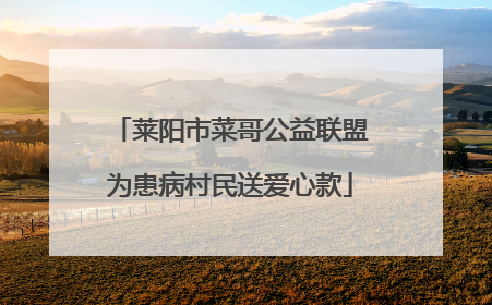 莱阳市菜哥公益联盟为患病村民送爱心款
