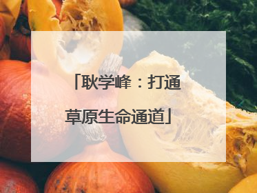 耿学峰：打通草原生命通道
