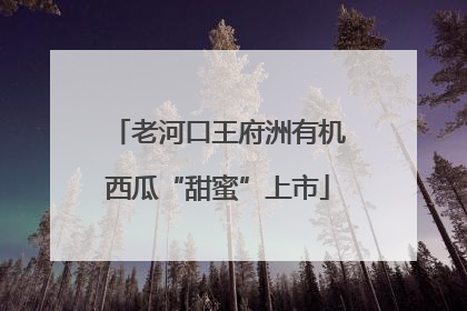 老河口王府洲有机西瓜“甜蜜”上市