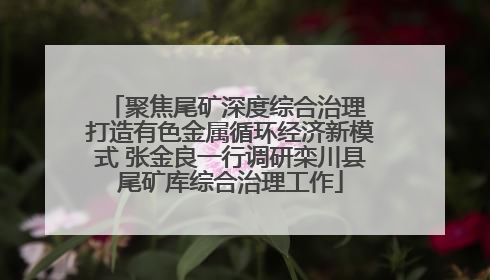 聚焦尾矿深度综合治理 打造有色金属循环经济新模式 张金良一行调研栾川县尾矿库综合治理工作