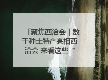 聚焦西洽会｜数千种土特产亮相西洽会 来看这些“爆款”产品