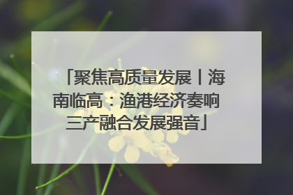 聚焦高质量发展丨海南临高：渔港经济奏响三产融合发展强音