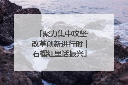 聚力集中攻坚·改革创新进行时｜石榴红里话振兴