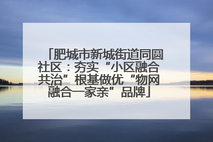 肥城市新城街道同圆社区：夯实“小区融合共治”根基做优“物网融合一家亲”品牌