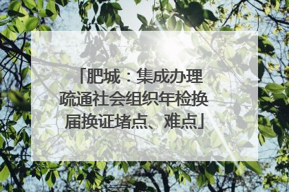 肥城：集成办理 疏通社会组织年检换届换证堵点、难点