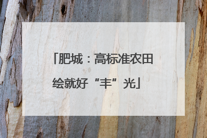 肥城：高标准农田绘就好“丰”光