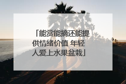 能赏能摘还能提供情绪价值 年轻人爱上水果盆栽