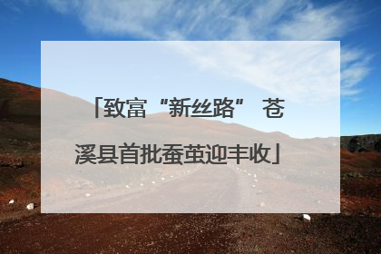 致富“新丝路” 苍溪县首批蚕茧迎丰收