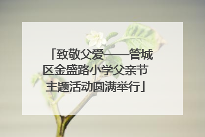 致敬父爱——管城区金盛路小学父亲节主题活动圆满举行