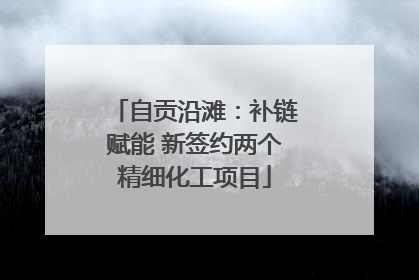 自贡沿滩：补链赋能 新签约两个精细化工项目