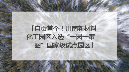 自贡首个！川南新材料化工园区入选“一园一策一图”国家级试点园区
