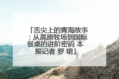 舌尖上的青海故事：从高原牧场到国际餐桌的进阶密码 本报记者 罗 珺