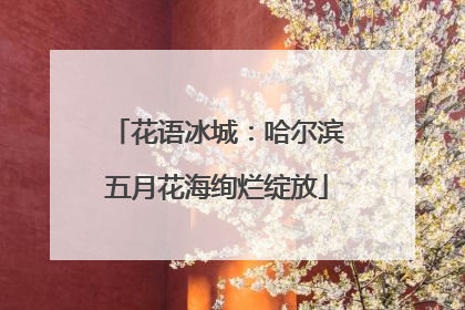 花语冰城：哈尔滨五月花海绚烂绽放
