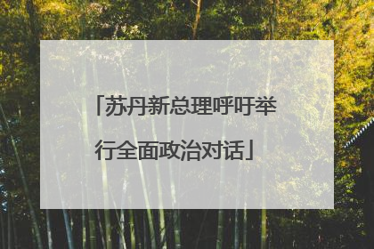 苏丹新总理呼吁举行全面政治对话