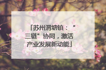 苏州渭塘镇：“三链”协同，激活产业发展新动能