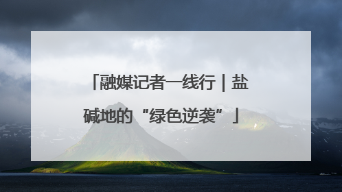 融媒记者一线行｜盐碱地的“绿色逆袭”