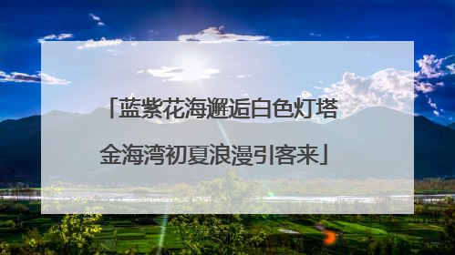 蓝紫花海邂逅白色灯塔 金海湾初夏浪漫引客来