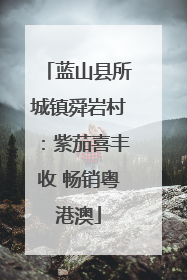 蓝山县所城镇舜岩村：紫茄喜丰收 畅销粤港澳