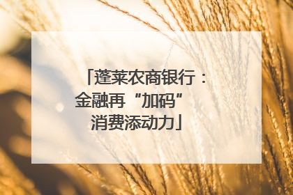 蓬莱农商银行：金融再“加码” 消费添动力