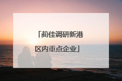 蔺佳调研新港区内重点企业