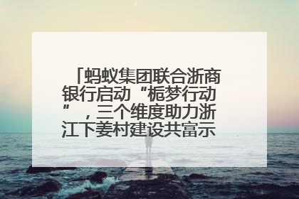 蚂蚁集团联合浙商银行启动“栀梦行动”，三个维度助力浙江下姜村建设共富示范区示范点