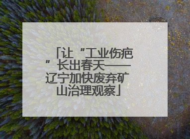 让“工业伤疤”长出春天——辽宁加快废弃矿山治理观察