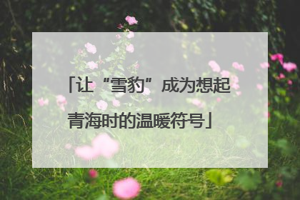 让“雪豹”成为想起青海时的温暖符号