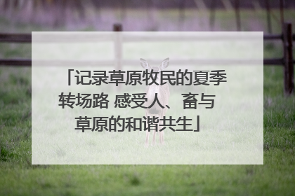 记录草原牧民的夏季转场路 感受人、畜与草原的和谐共生