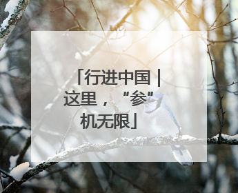 行进中国｜这里，“参”机无限