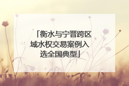 衡水与宁晋跨区域水权交易案例入选全国典型
